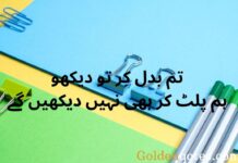 20+ Unique Swag Attitude Poetry in Urdu Text copy paste swag-attitude-poetry-in-urdu-text-copy-paste