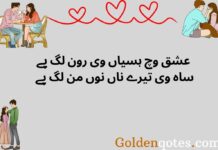 Ishq Punjabi Poetry in Urdu That Touches the Heart Ishq Punjabi Poetry in Urdu