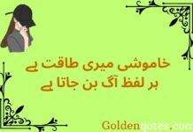 2 line Attitude Shayari in Urdu for Girl 2 line Attitude Shayari in Urdu for Girl